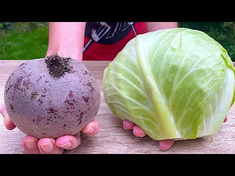 I can't stop eating this beetroot, carrot and cabbage salad 🥕🥬 New Salad Recipe 👌