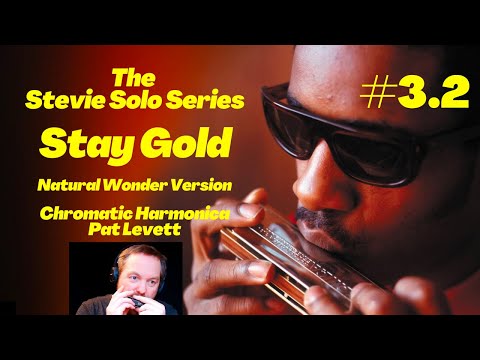 How to play Stay Gold (Natural Wonder) on Chromatic Harmonica - Full Stevie Wonder Solo - Pat Levett