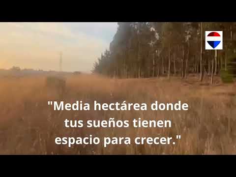 E-13 Nahuelcura, Tomeco,Yumbel,Bío-Bío 