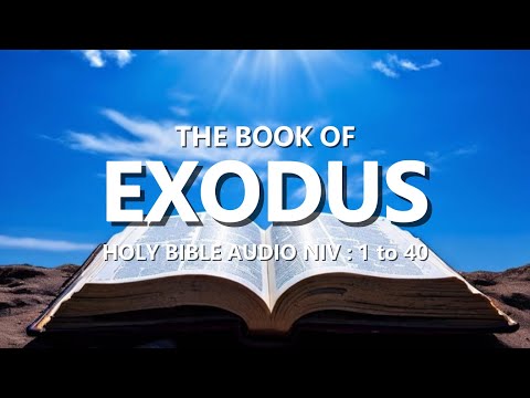 NIV Audio Bible - Exodus 1 to 40 (FULL)