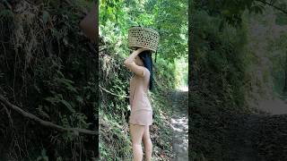 Download lagu Dapat pisang mp3