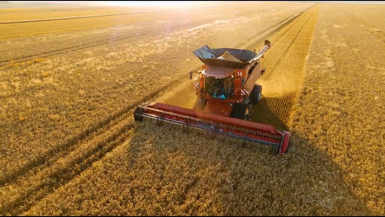 Choose Montgomery County, KS.