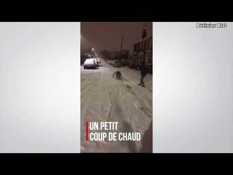 Le grand bêtisier Les bêtisiers  xa