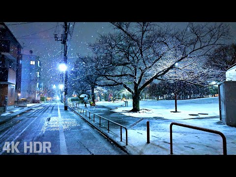 [ASMR] Rain and Snow Night Walk in Winter First Snowfall in Tokyo City 2026 | Japan | 4K/HDR