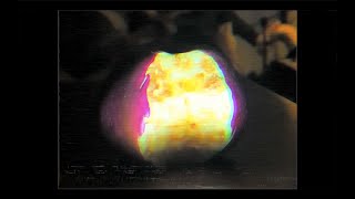 Sempreverde - Calorie (Official Video)