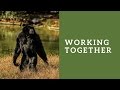 Catskill Conversation Working Together A Multipronged Strategy For Animal Rights