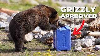 THIS Is Why MOST Bear Attacks Happen (And How To Avoid It)