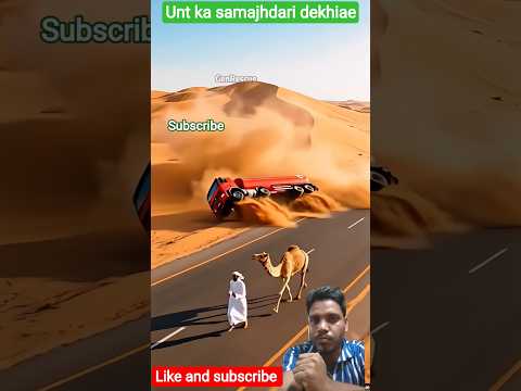 ut ka kahani #animals #reels #sorts#youtubeshorts #aivideo
