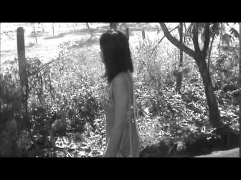 Quero toda noite - Fiuk e Jorge Ben Jor (  Clipe por Dani Maia )