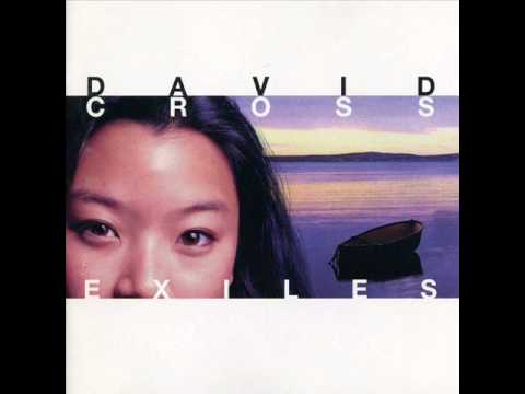 David Cross Exiles