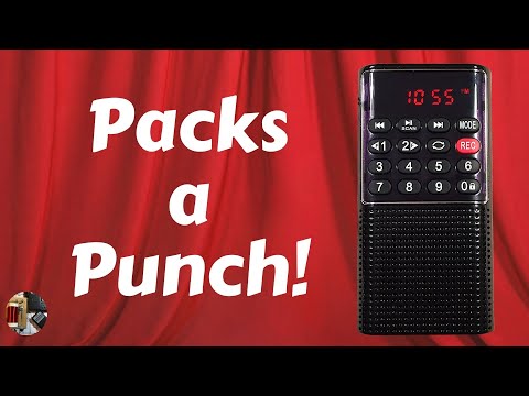 Prunus J-328 FM Radio & Recorder Review