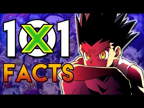 101 Hunter X Hunter Facts That You Probably Didn't Know! (101 Facts) | HXH