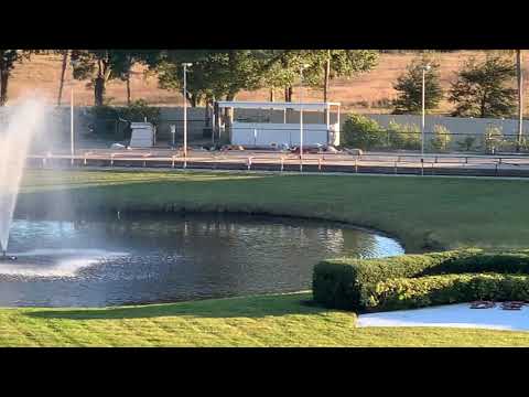 Final Race at Derby Lane St. Pete 12/27/20