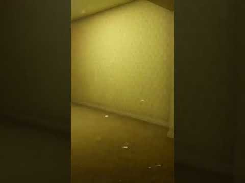 There's too much  #shorts #thebackrooms  #backrooms  #gaming #backroom #deathlystillness #shorts