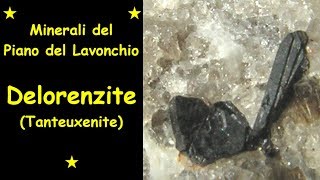 preview picture of video 'Delorenzite (Tanteuxenite) del Piano del Lavonchio 01'