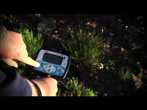 Getting Started with the Minelab X-TERRA 705 Gold Pack Detector