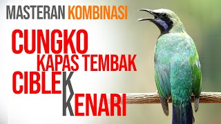 Download lagu MASTERAN CUNGKOK - KATEM - CIBLEK KRISTAL - KENARI mp3 Download lagu MASTERAN CUNGKOK - KATEM - CIBLEK KRISTAL - KENARI mp3