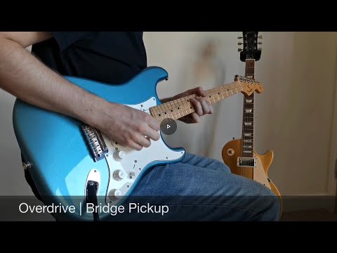 Fender Player Stratocaster -vs- Gibson Les Paul