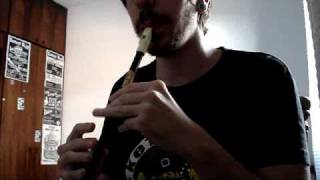 Tin Whistle - Flogging Molly - The Ol&#39; Beggars Bush (Joby)