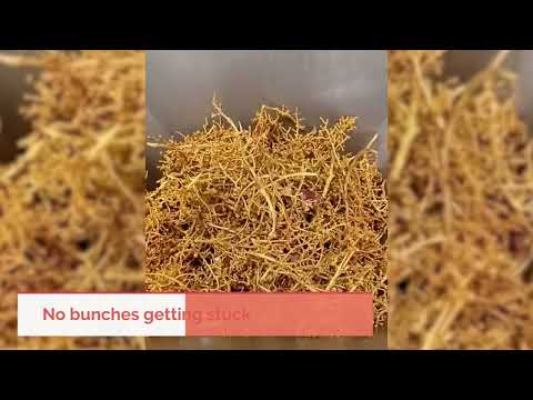 HYTT druiventros – grape bunch – Traubenrispen Transport (vacuum transport)