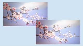 Mark Kozelek &amp; Jimmy LaValle - You Missed My Heart (Slowed + Reverb)