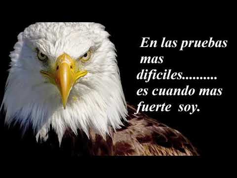 • Ya no quiero ser el mismo 🌹 .