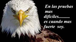 • Ya no quiero ser el mismo 🌹 .