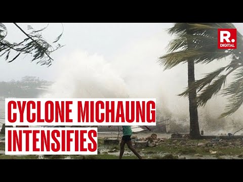 Cyclone Michaung Highlights: 5 Dead As Heavy Rain...