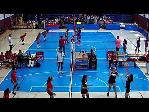 VITALMEDIC CV MANACOR AF1 - ALGAIDA V.C. FUCSIA