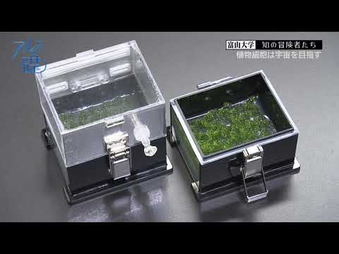 アルスの礎　～富山大学　知の冒険者たち～　#17 植物細胞は宇宙を目指す　2021年8月5日放送分