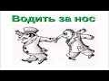 Водить за нос фразеологизм. Рисунок к фразеологизму водить за нос. Водить за нос. Водить за нос значение предложения. Ушинский ученый медведь.