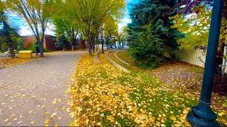 Okotoks Peace Poles-2023 #okotoks #alberta #canada #fall
