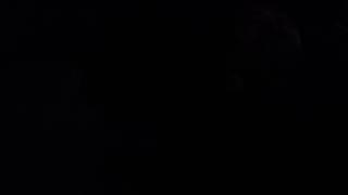 Malaya kana- armchair (markito)