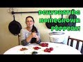 Drying Jalapeno Peppers In A Dehydrator Download Youtube Mp3 and Mp4 Drying Jalapeno Peppers In A Dehydrator Download Youtube Mp3 and Mp4