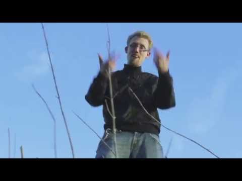 Go5u feat Sane1 vs. Diamorphin - VBT Vorrunde 1