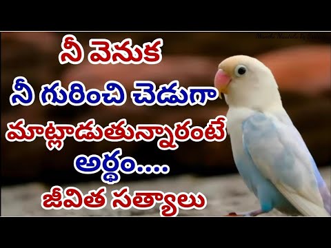 Life quotations|famous quotations|jeevitha satyalu|motivational quotes|Manchi Maatalu by Srilatha|