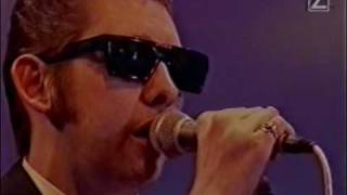 Shane MacGowan and The Popes - Donegal Express (Live)