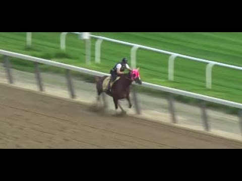 Master Fencer stumbles during workout