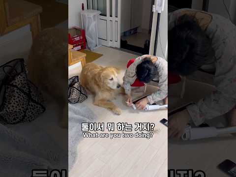 청소기 고장났는데 강아지 표정이 너무 심각함ㅋㅋ 다음날 반전