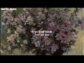 Chet Baker - What'll I Do (Lyrics/Subtitulado al español)