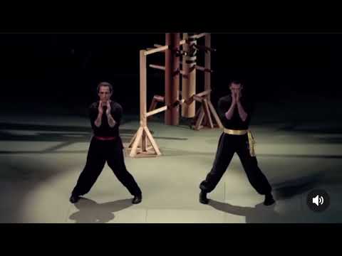 Demonstration of Traditional Wing Chun: Sifu Didier Beddar