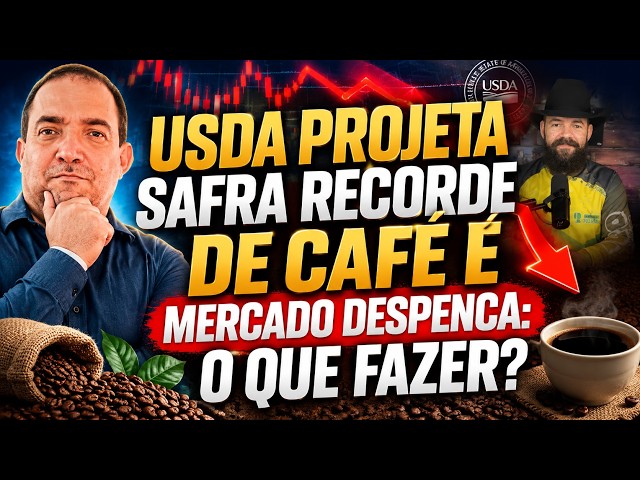 USDA projeta safra recorde de Café e mercado despenca: O que fazer?