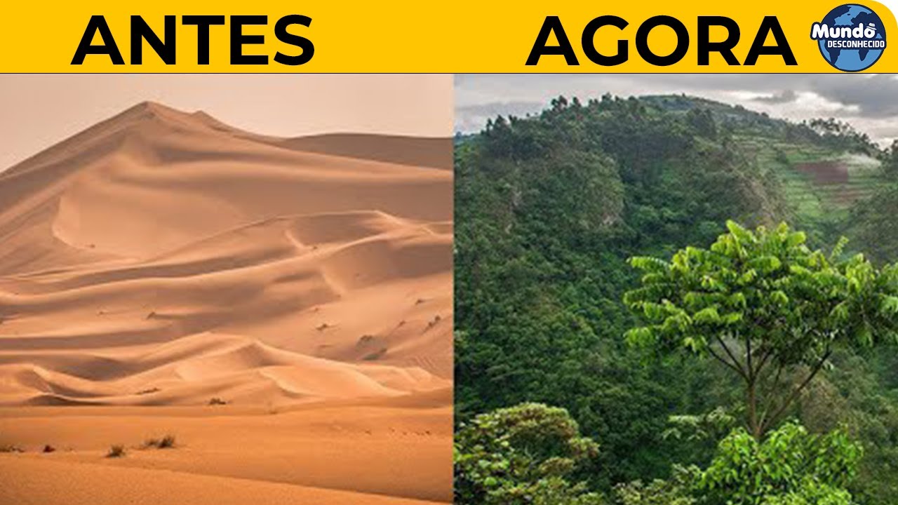Como o deserto do Saara está se transformando em um oásis de terras agrícolas