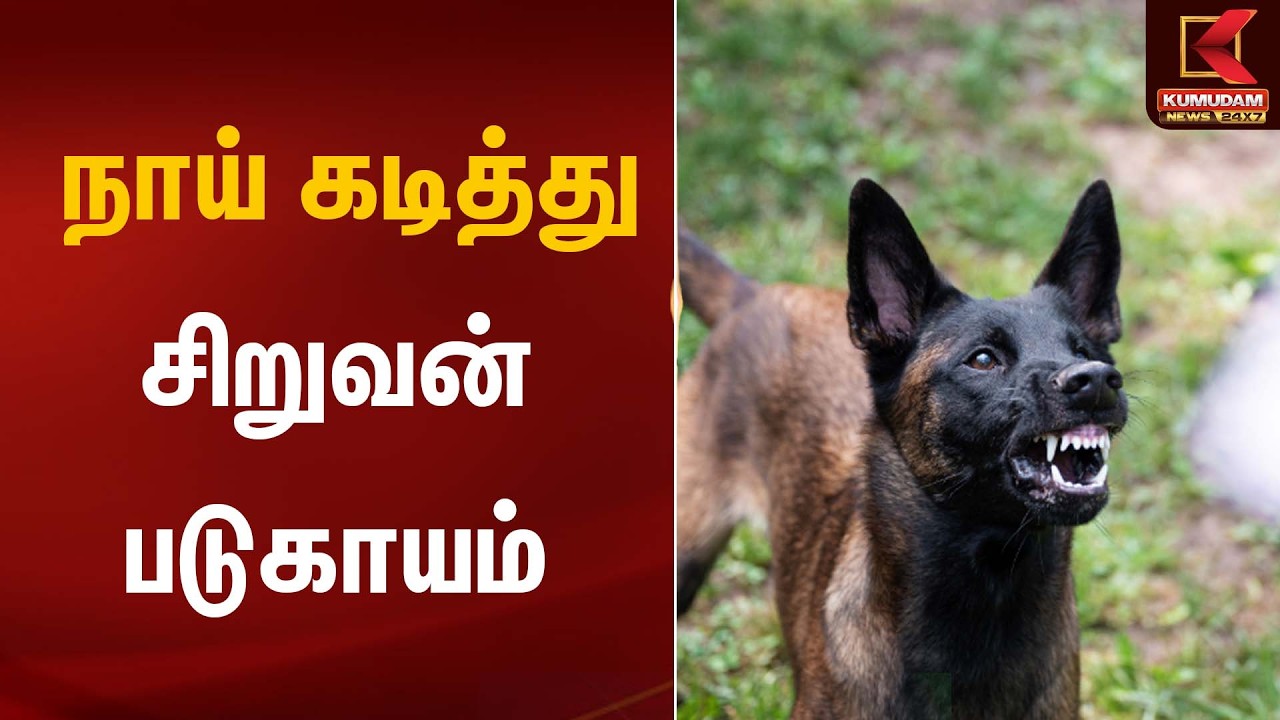 நாய் கடித்து சிறுவன் படுகாயம் | Dog Bite | Kumudam News