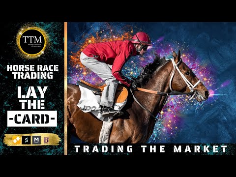 How I Win on Every Horse Race - Explained!