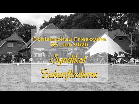 Fohlenschau Friesoythe   Syndikat Zukunftssterne 2020
