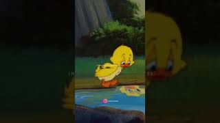 Download lagu No Body Loves Me Nobody Oh Boy I'm Sure i'm Ugly I Wish I Was Dead Good Bye | Tom & Jerry | @Moni08 mp3 Download lagu No Body Loves Me Nobody Oh Boy I'm Sure i'm Ugly I Wish I Was Dead Good Bye | Tom & Jerry | @Moni08 mp3