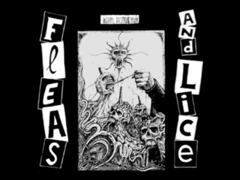 Fleas And Lice  -   the war will never end .
