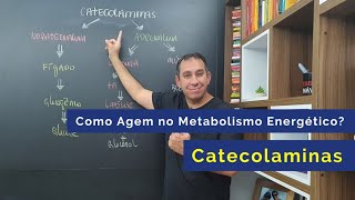 Como Agem as Catecolaminas no Metabolismo Energético?