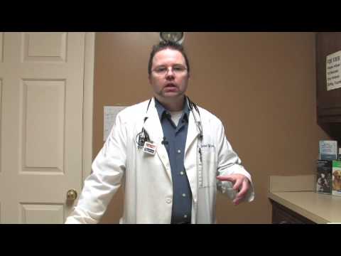 YouTube video about: What to feed a cat with acid reflux?